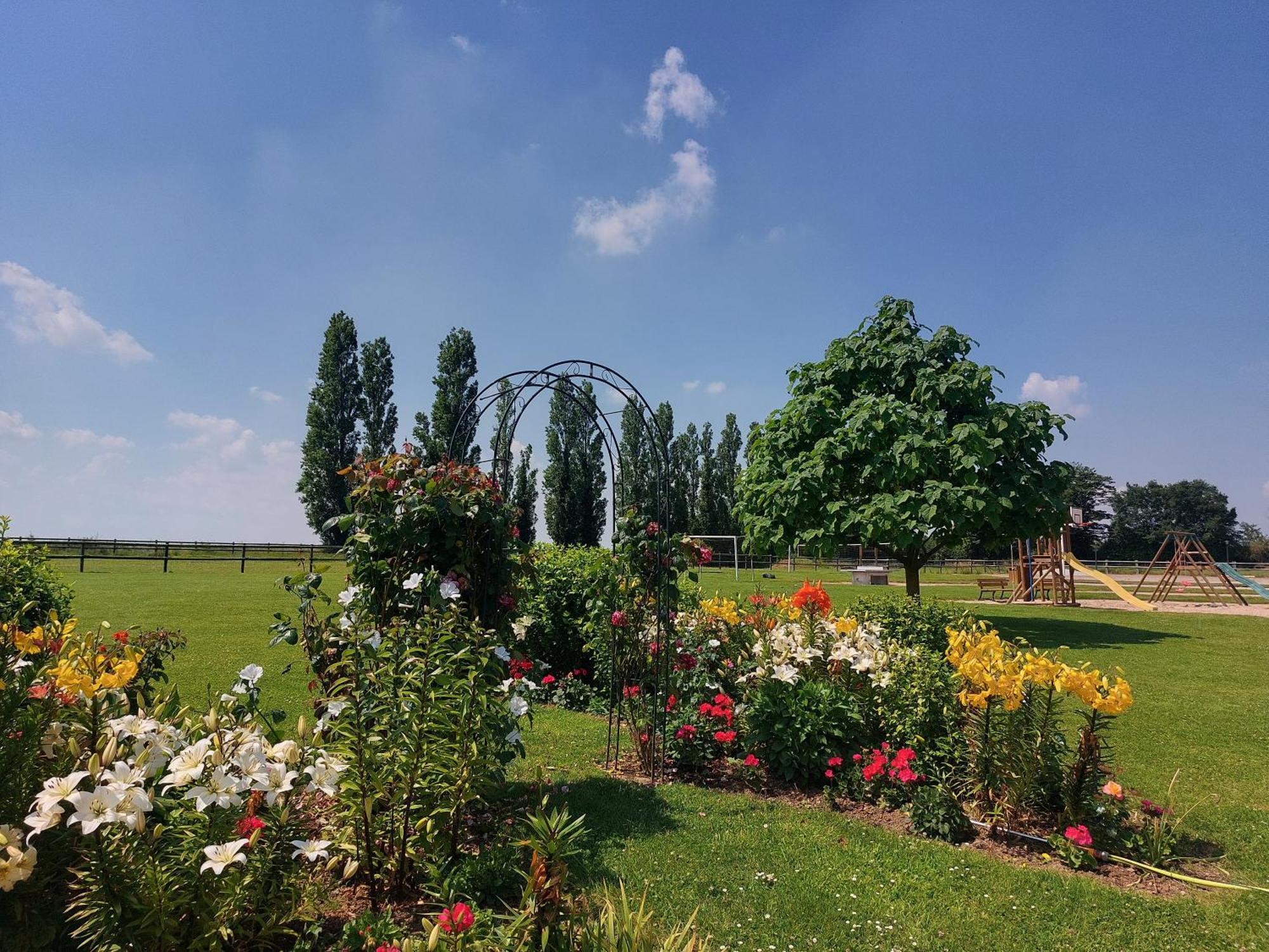 Domaine De Soignolles Exterior foto